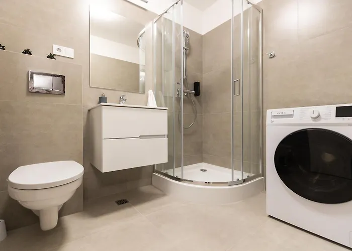 Nest Soporului Apartmán *