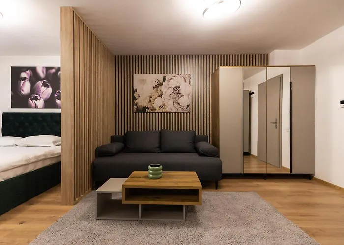 Apartmán Nest Soporului