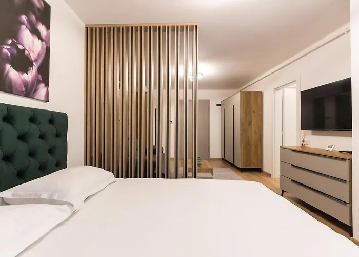 Nest Soporului Apartman